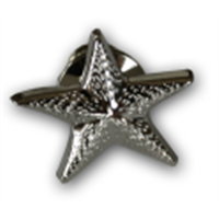 RC 004 Respecting Choices® Starfish Pin