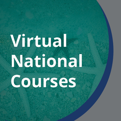 Virtual National Courses